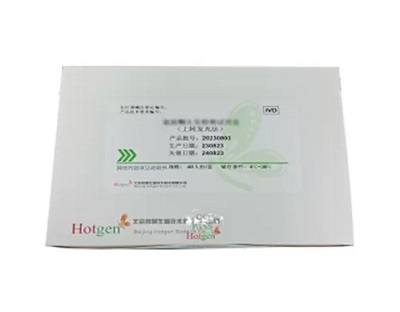 Smart Borders Need Smart Detection: Why Hotgen's UPT Test Kit Meets Future Needs