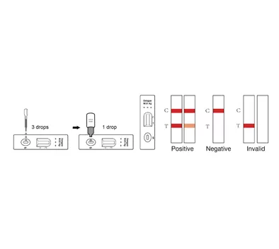 Operisi Proyektes Hotgen Colloidal Gold (CG)