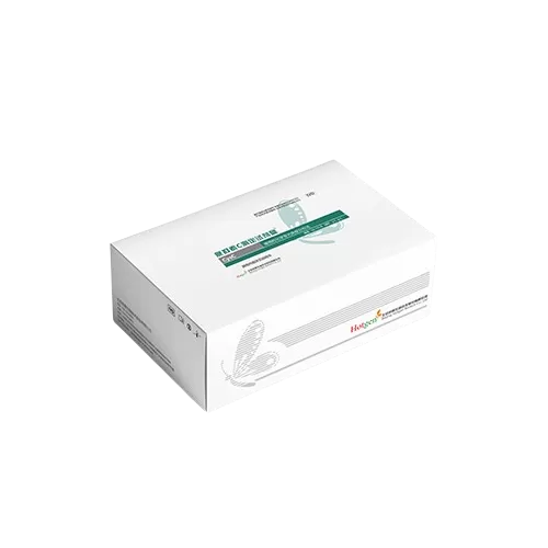 renal function test